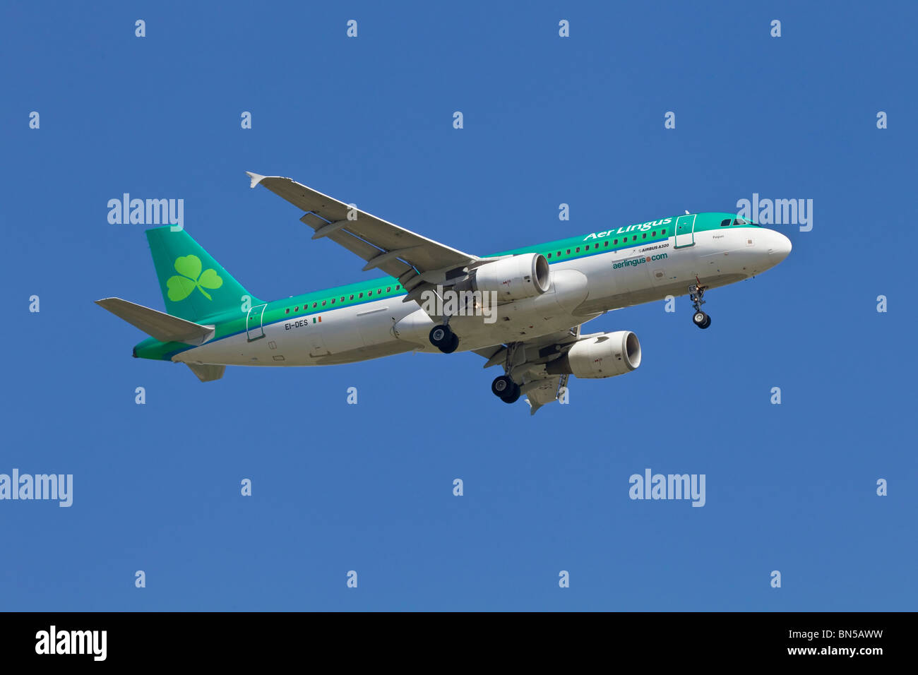 An Airbus A320 of the Irish airline Aer Lingus Stock Photo