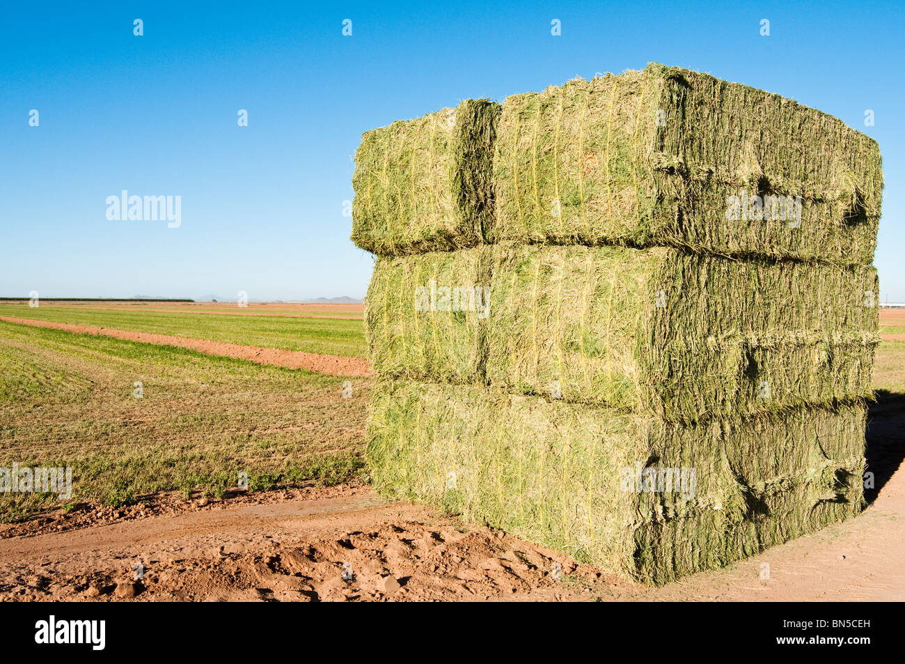 Alfalfa Hay Bales High Resolution Stock Photography And Images Alamy