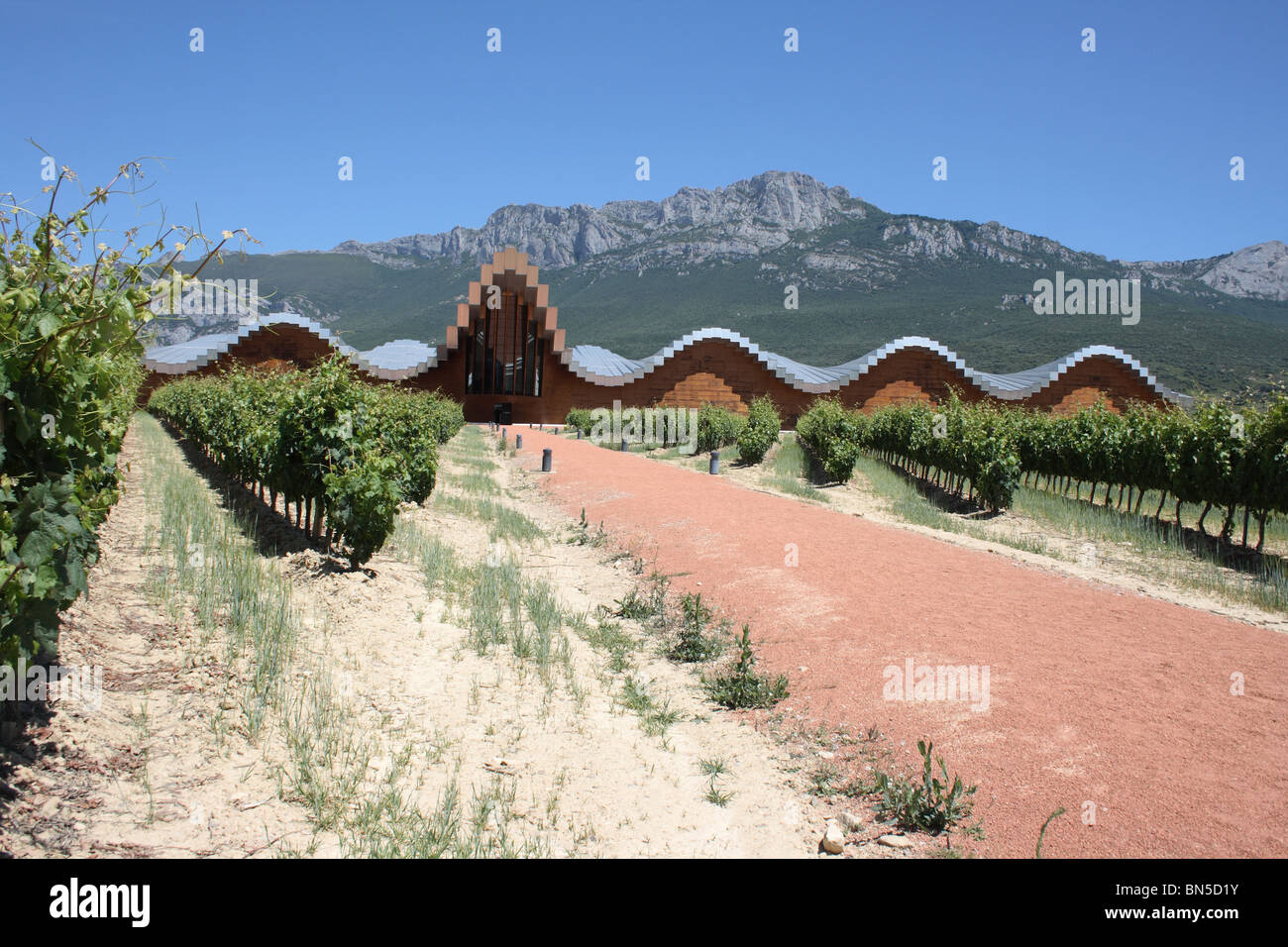 Bodegas Ysios Winery and vinyard, with the Sierra de Cantabria beyond, near Laguardia, Alava, Pais Vasco, Spain, Rioja Alavesa. Stock Photo