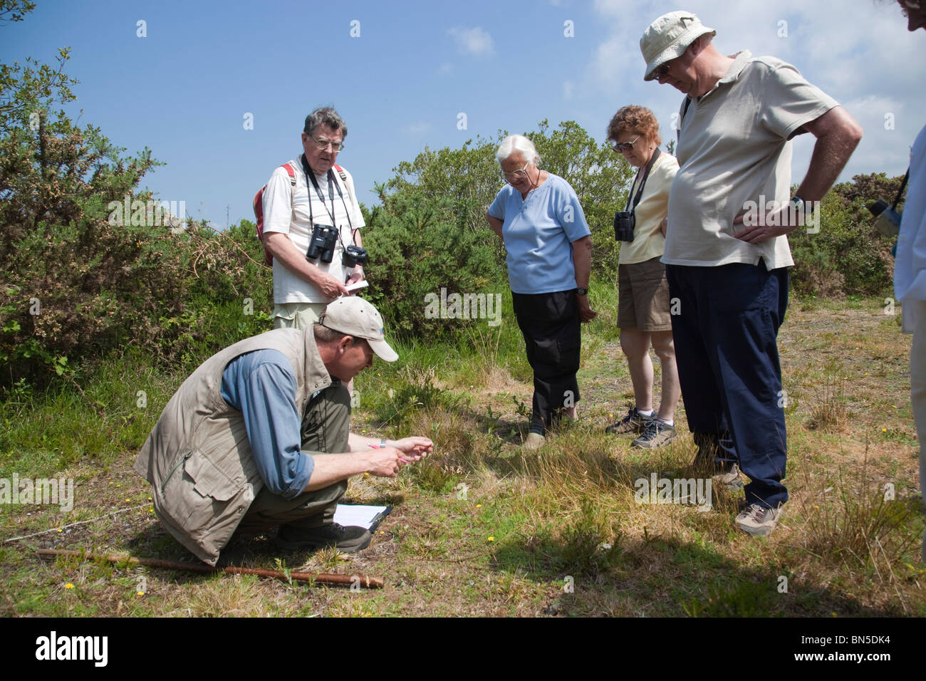 group of people plant surveying; Cornwall Stock Photo