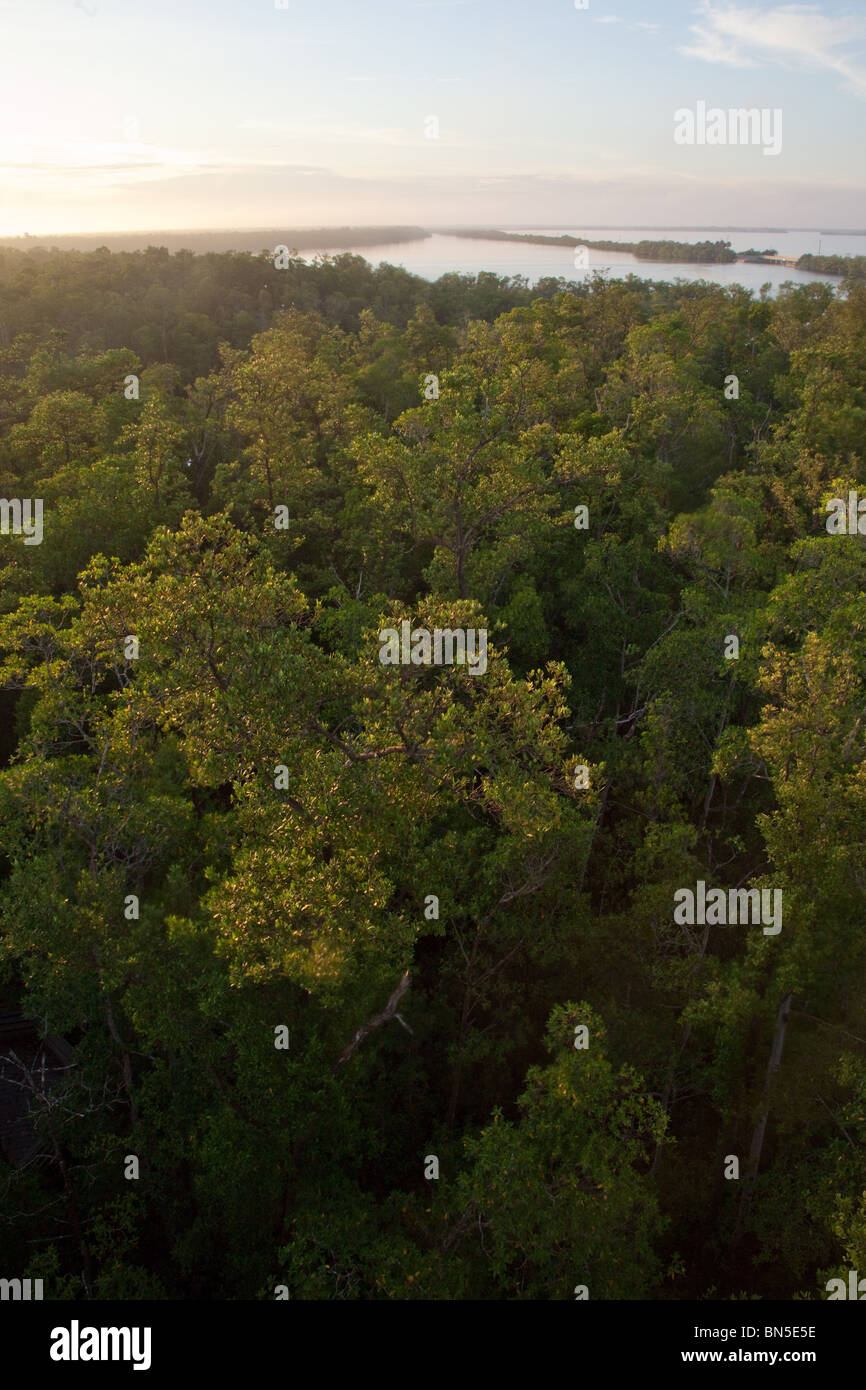 Mangrove islands in Ten Thousand Islands State Park, Florida. Stock Photo