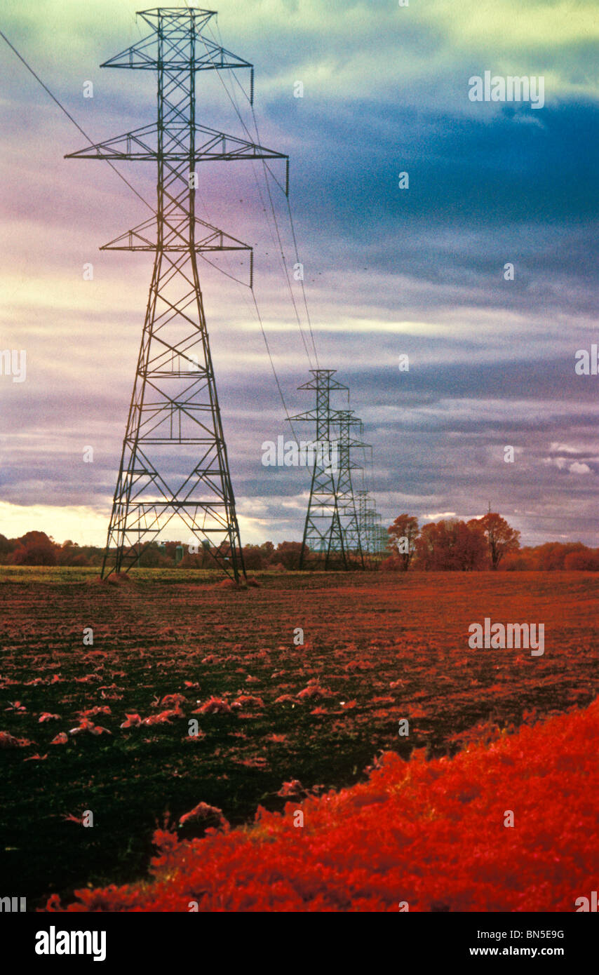 Late afternoon sky electric utility industrial power grid Stock Photo