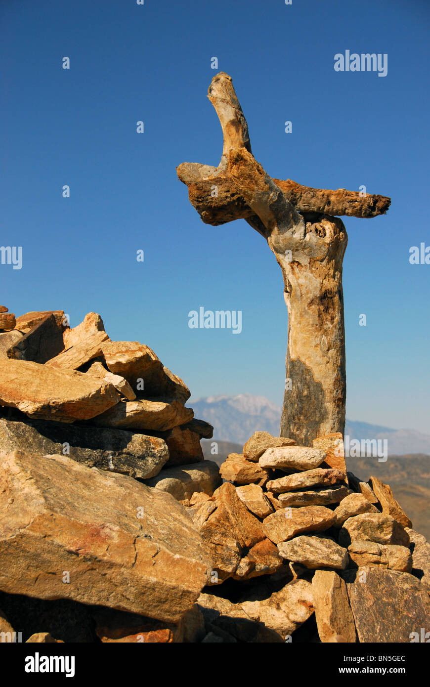 Dead joshua tree hires stock photography and images Alamy