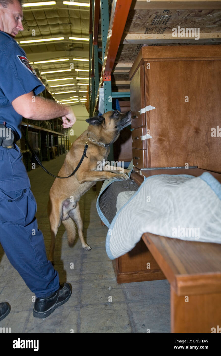 Corrections Officer dog handler with K-9 searching items in prison warehouse. Nebraska State Penitentiary. Stock Photo