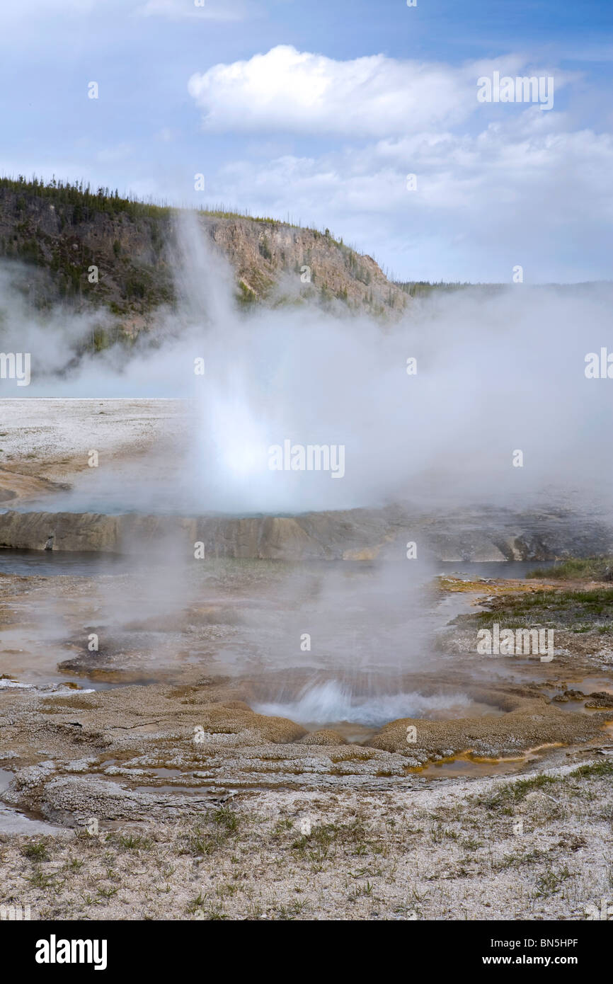 Black Sand Basin's Cliff Geyser in Yellowstone National Park, Wyoming ...