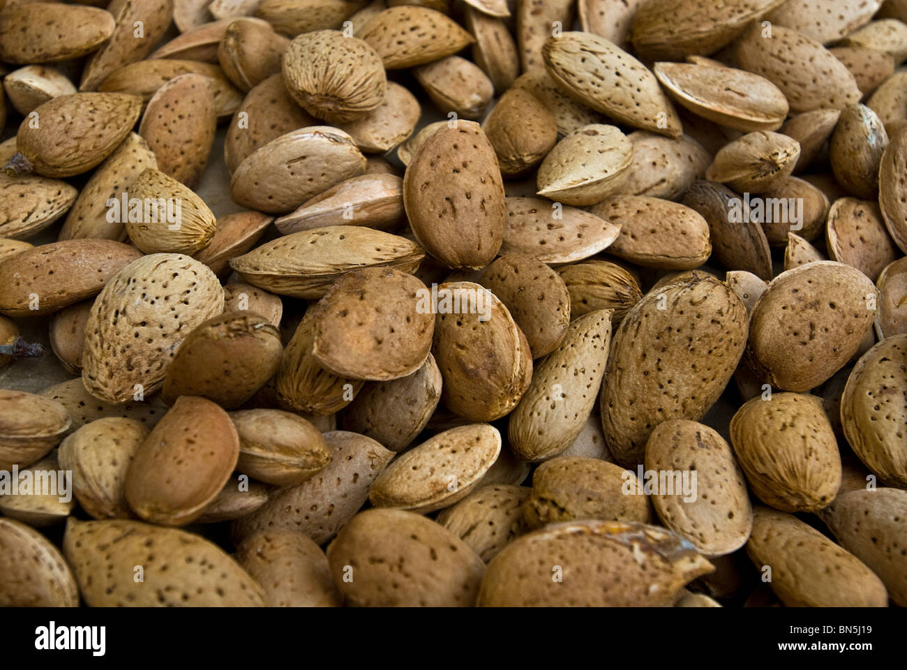 Almonds in shells, Ibiza, Balearics, Spain Stock Photo