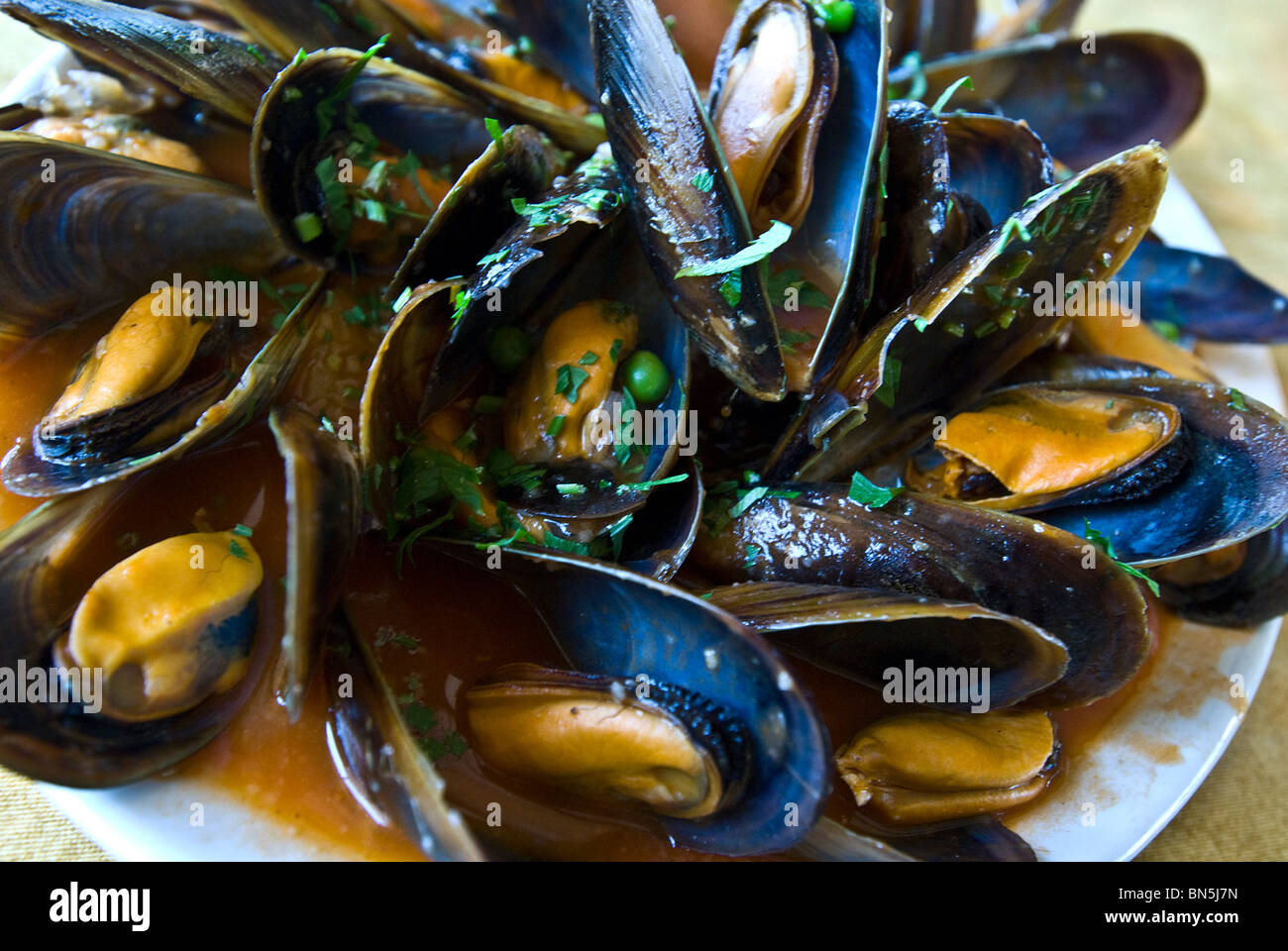 Mussels in sauce, Ibiza, Balearics, Spain Stock Photo