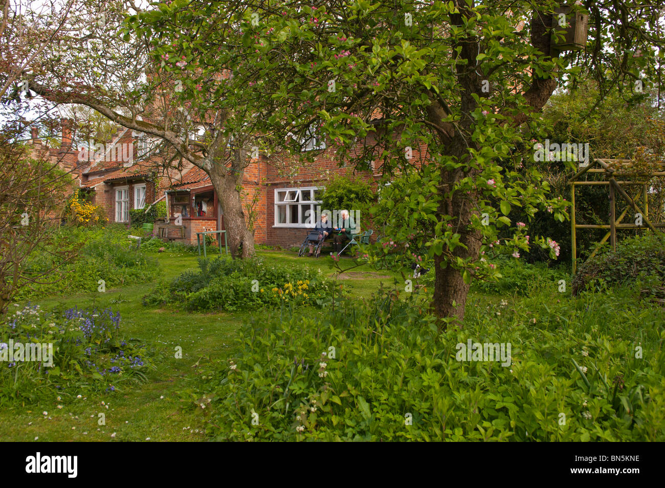 A MODEL RELEASED elderly couple relax in their cottage garden in Suffolk , England , Great Britain , Uk Stock Photo