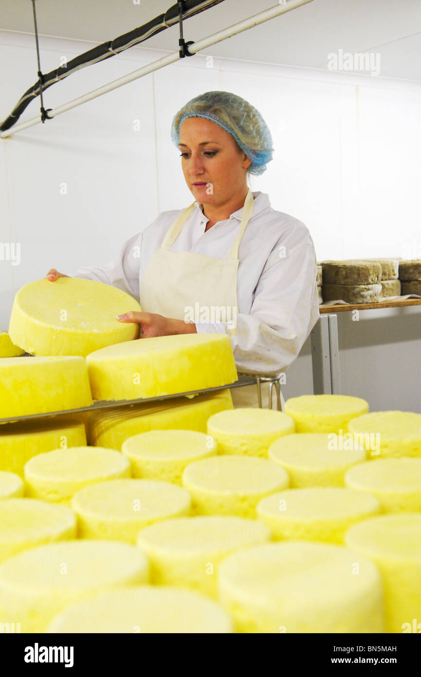 Suffolk Cheese maker at work Stock Photo Alamy