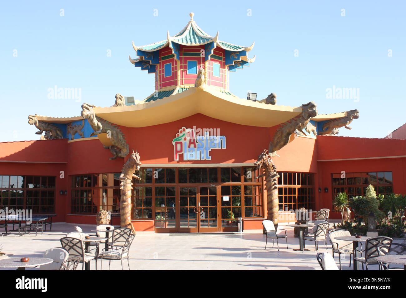 jungle hotel hurghada egypt