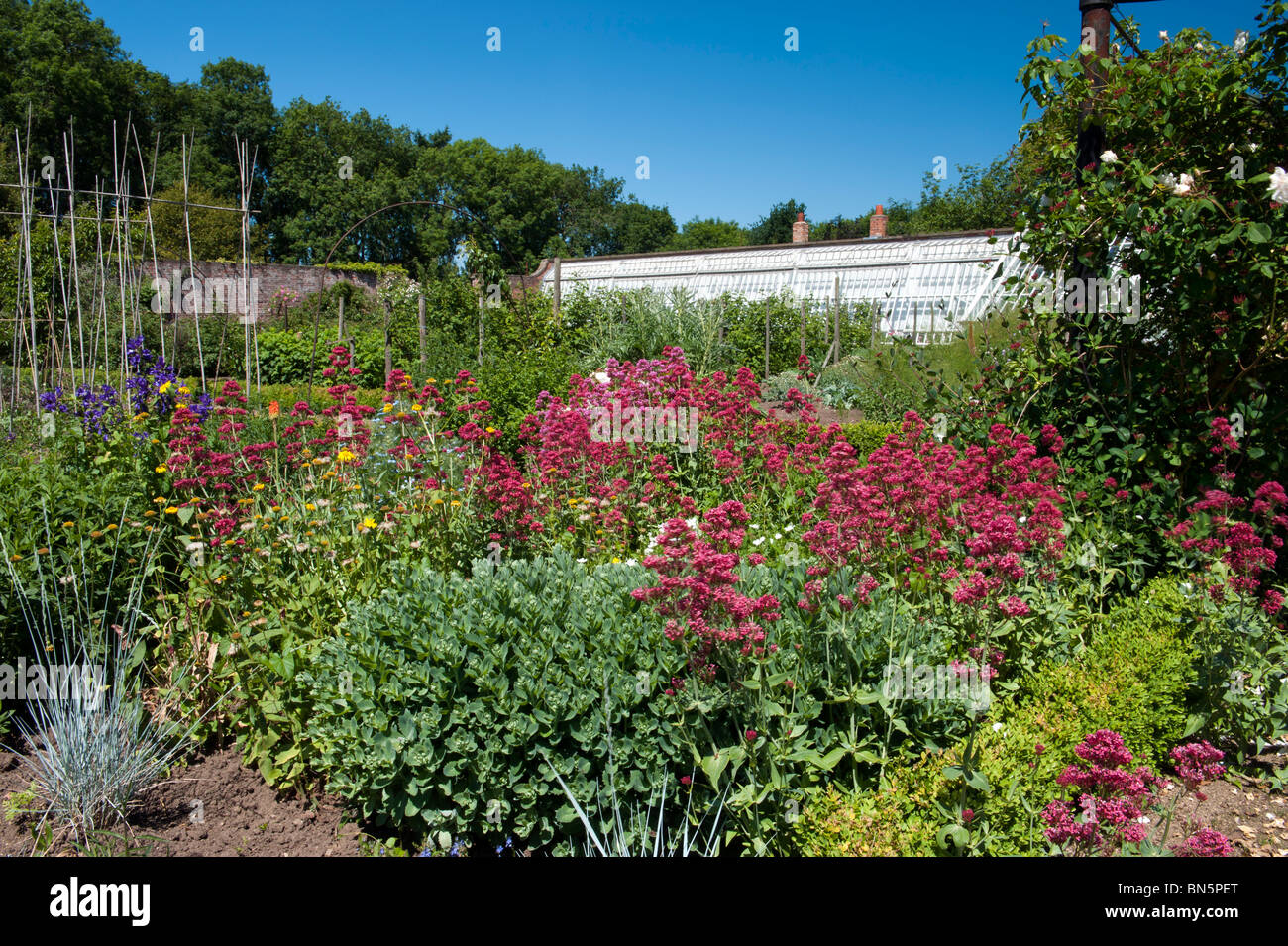 A Victorian Walled Garden In The Month Of June Stock Photo