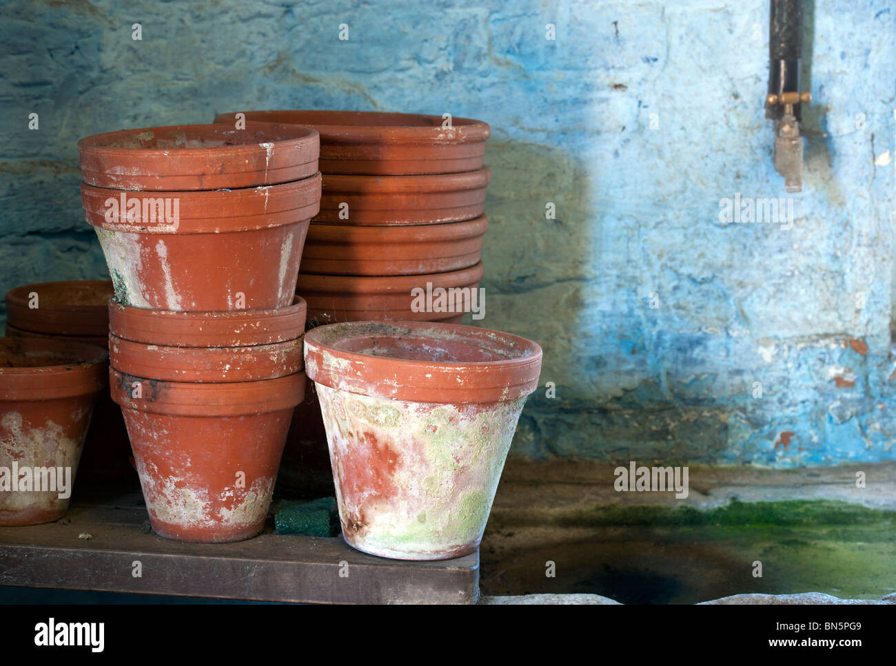 Clay Plant Pots Stood On An Old Stone Sink In A Potting Shed Ready For Cleaning Stock Photo