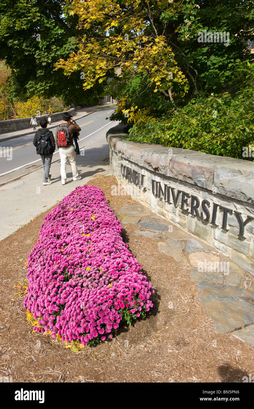 Stone Arch Bridge Area Cornell University Campus Ithaca New York Finger