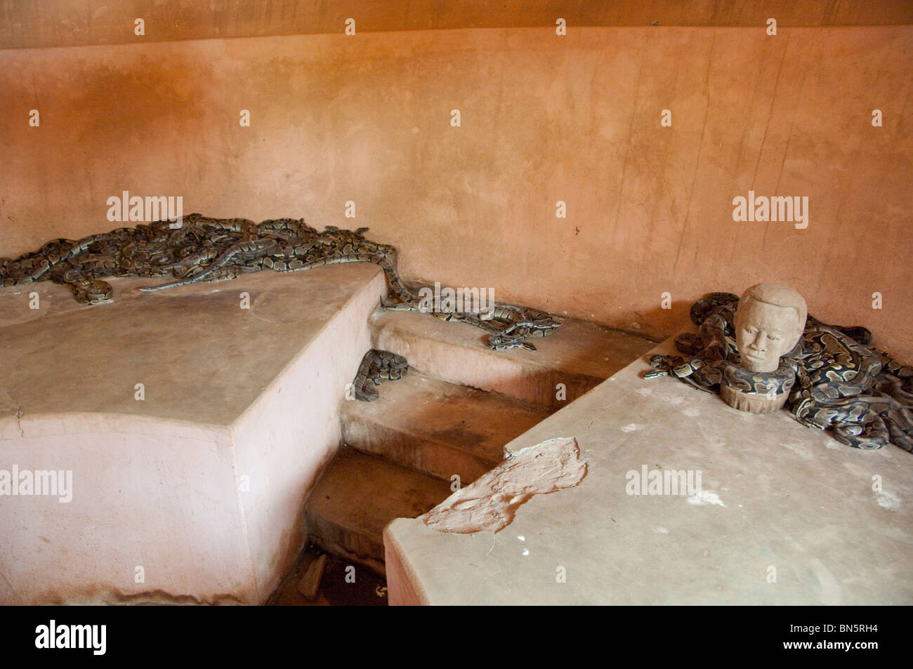 Africa, Benin, Ouidah. Temple of the Pythons shrine connected with voodoo snake cult. Temple interior with pythons. Stock Photo