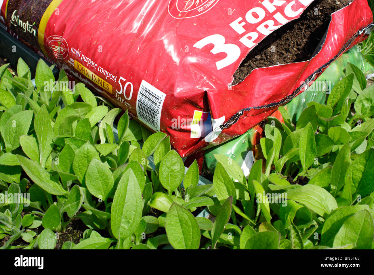 Compost bag hires stock photography and images Alamy