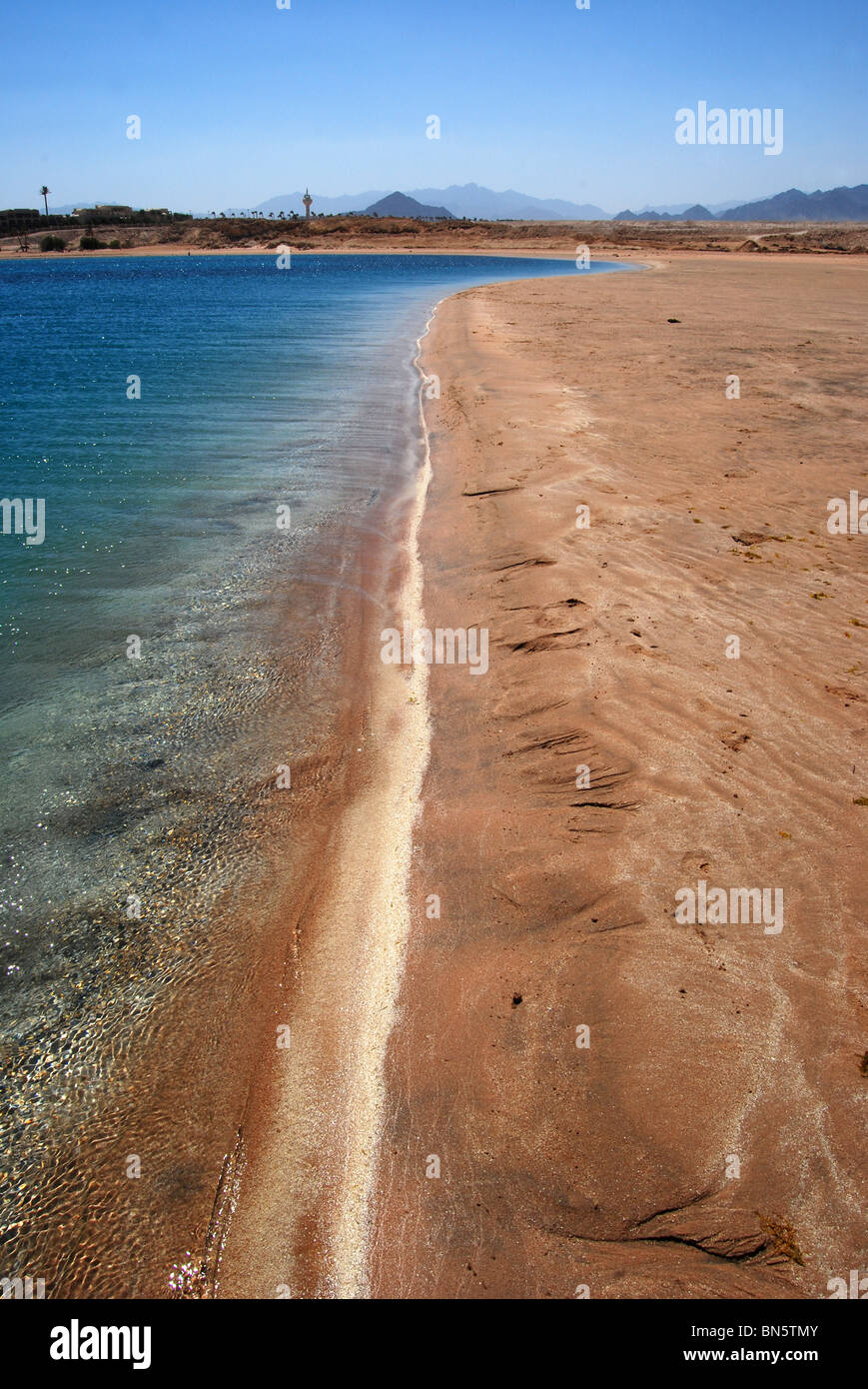 steeply shelving beach sharm el sheikh 2937 Stock Photo Alamy