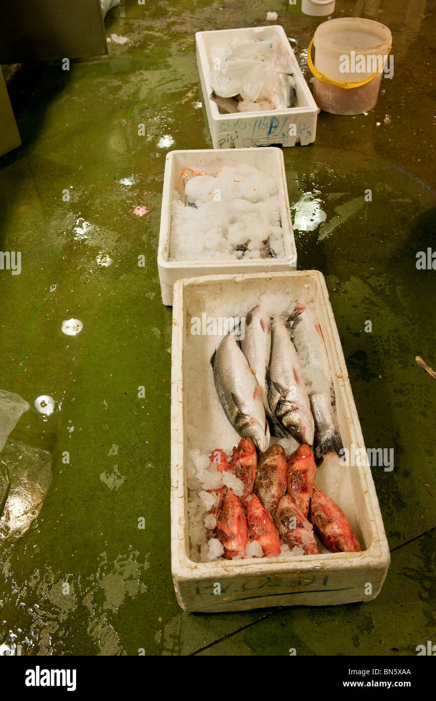Fresh Fish boxes at the market of La Boqueria in las Ramblas of