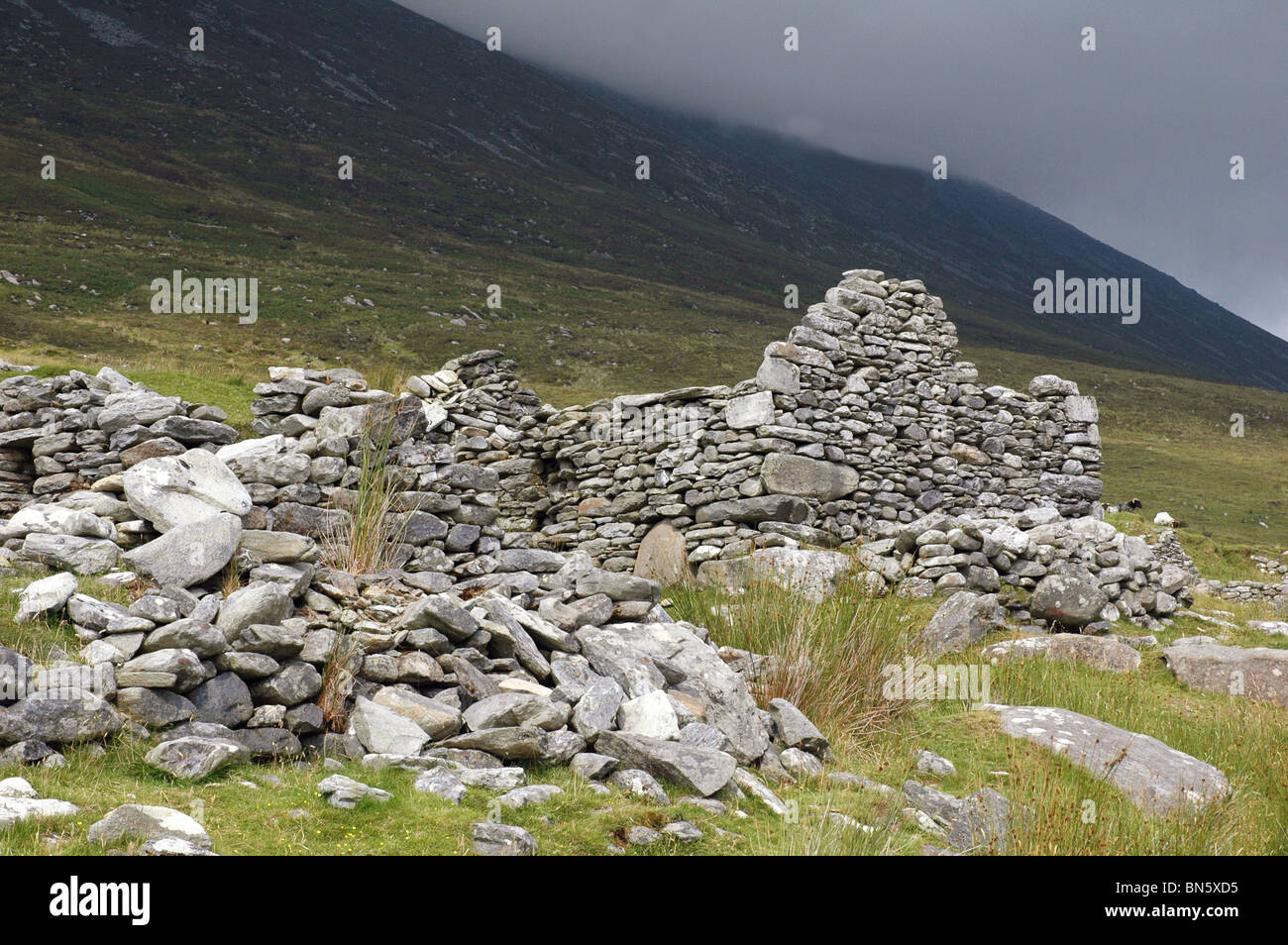 The ruins of a cottage deserted  on Achill Island during the great Irish  famine in the eighteen forties Stock Photo