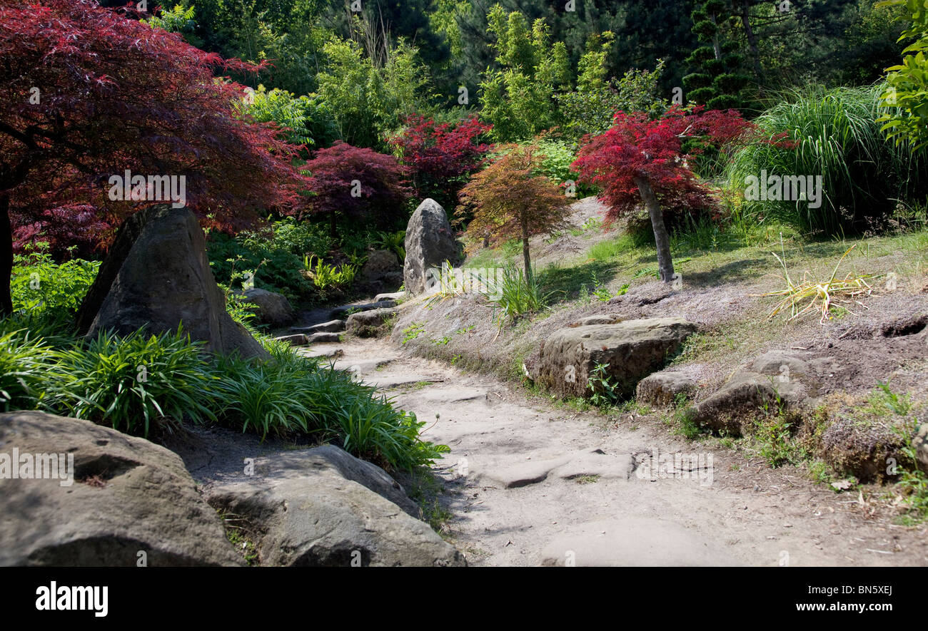 japanese garden park with red maple en path in the middle Stock Photo