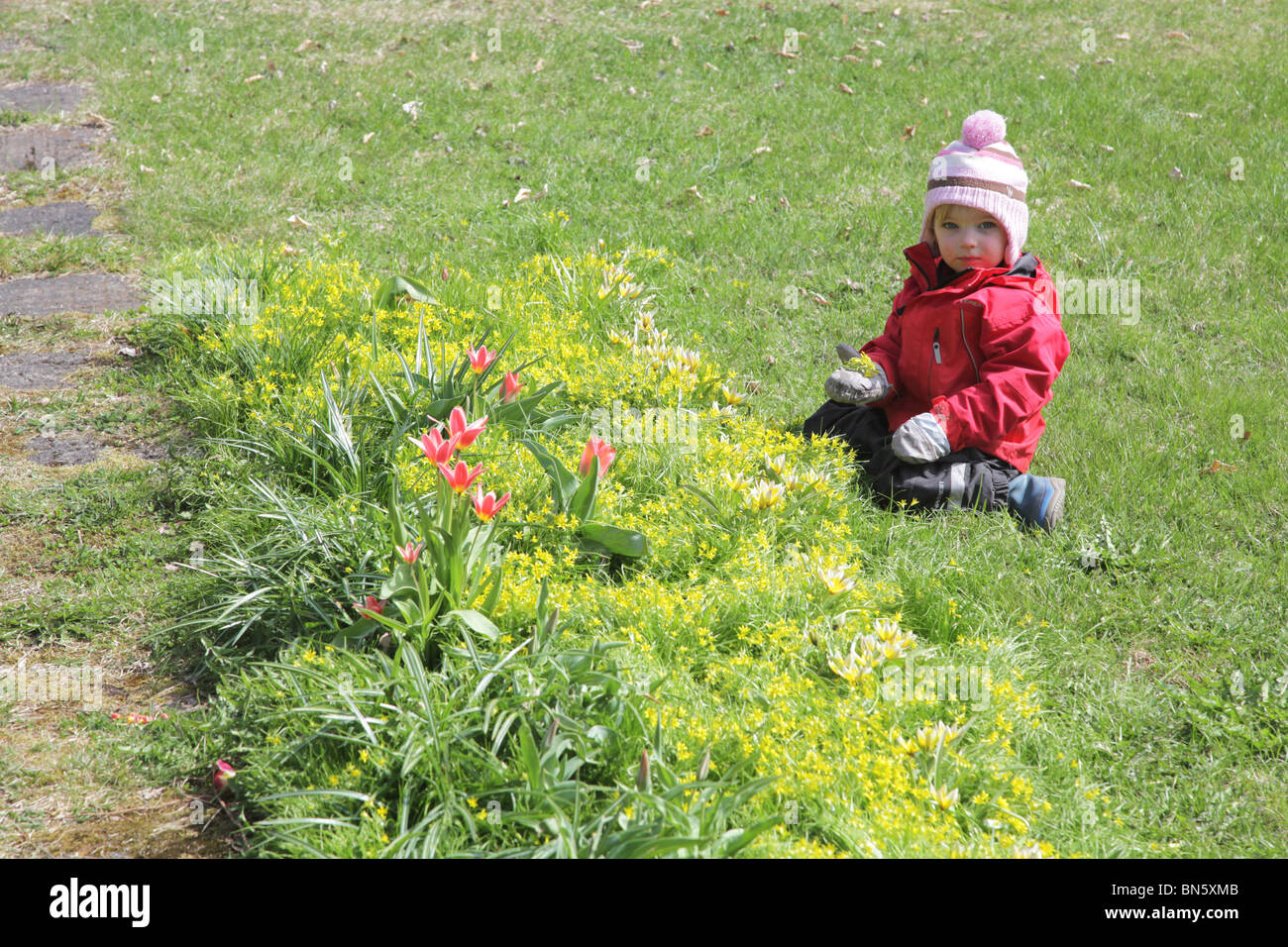 Toddler girl in the garden helping with the gardening MODEL RELEASED Stock Photo