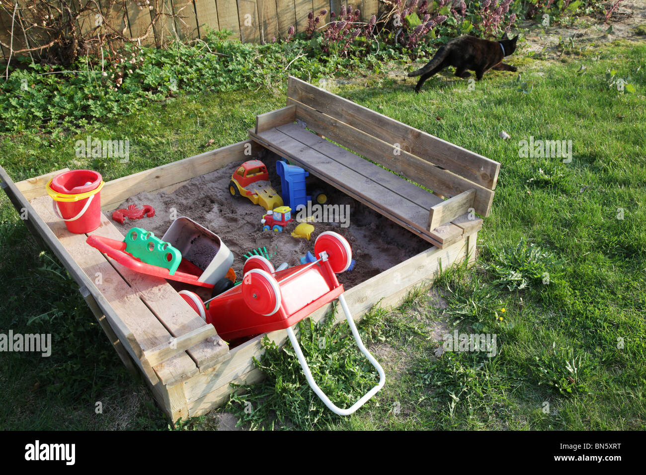 A black cat passes a sandpit in a garden filled with abandoned plastic toys Stock Photo