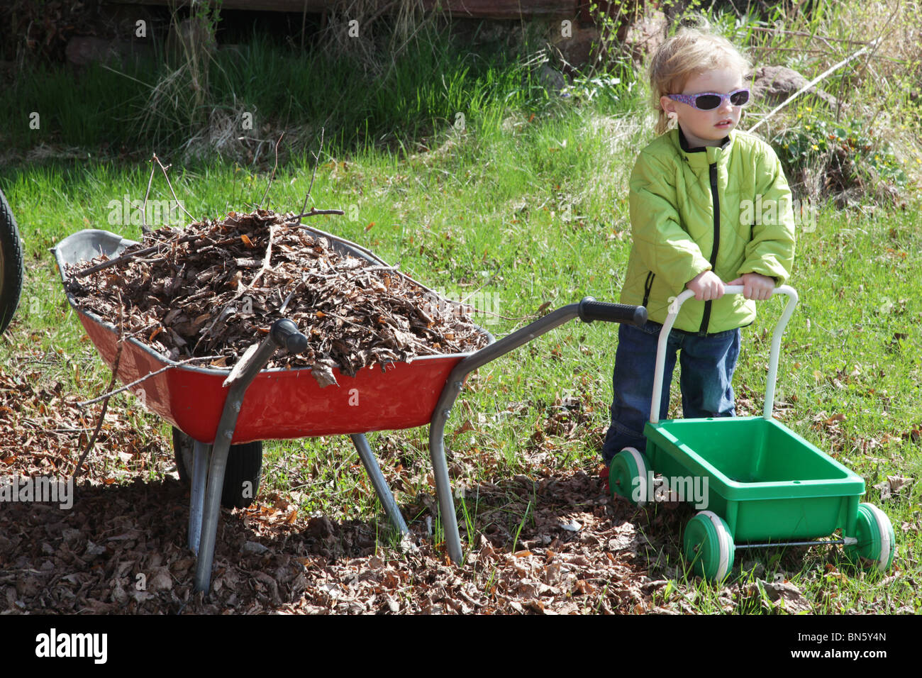 Toddler girl in the garden with plastic trolley toy autumn fall leaves in a wheelbarrow MODEL RELEASED Stock Photo