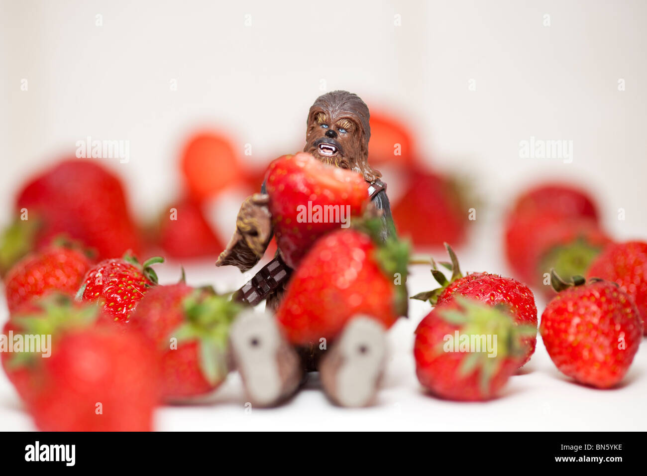 Chewbacca in Strawberry field Stock Photo