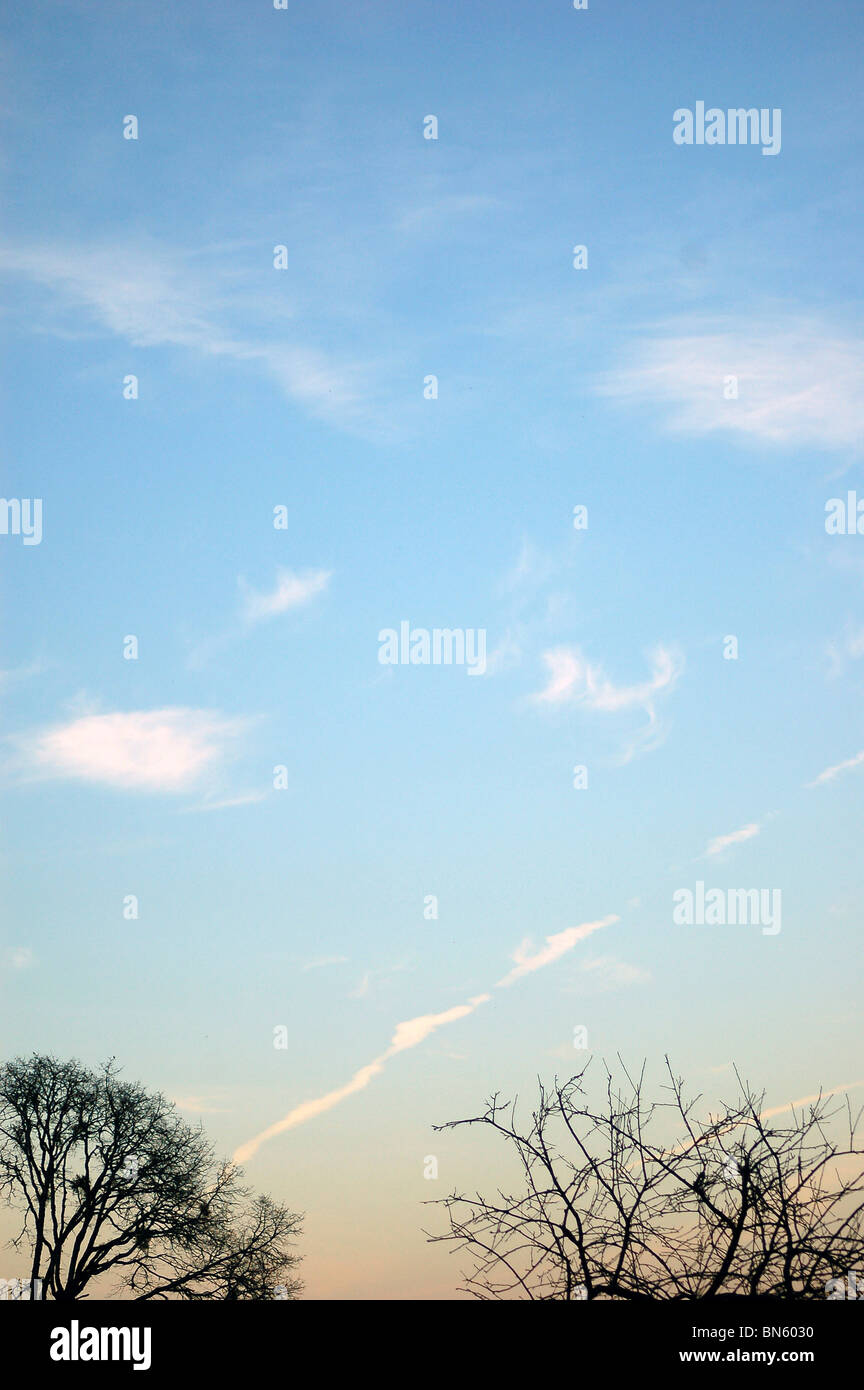 A mostly blue sky with some clouds at dusk, with trees at the very ...