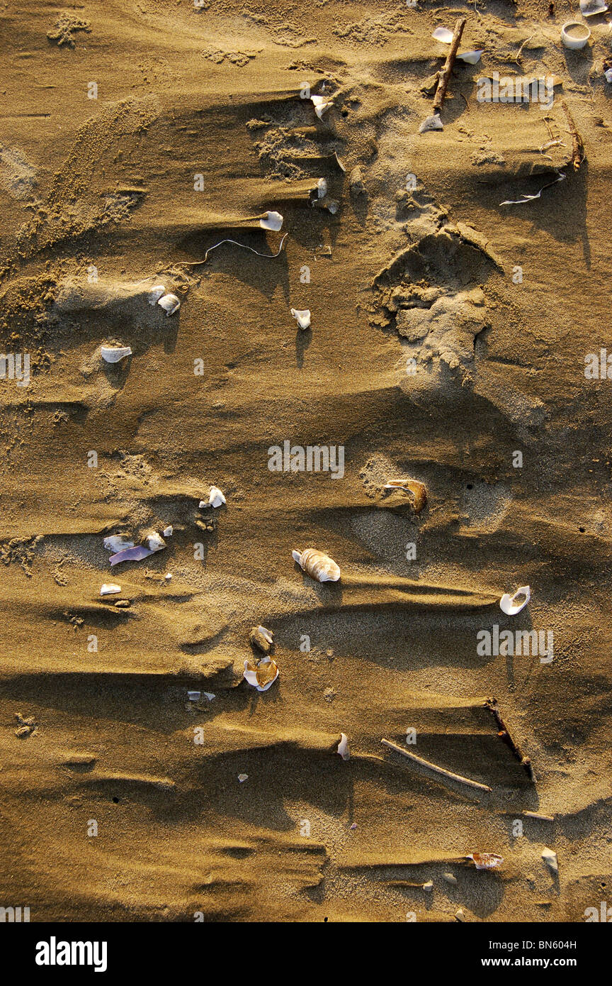 Sand close hi-res stock photography and images - Alamy