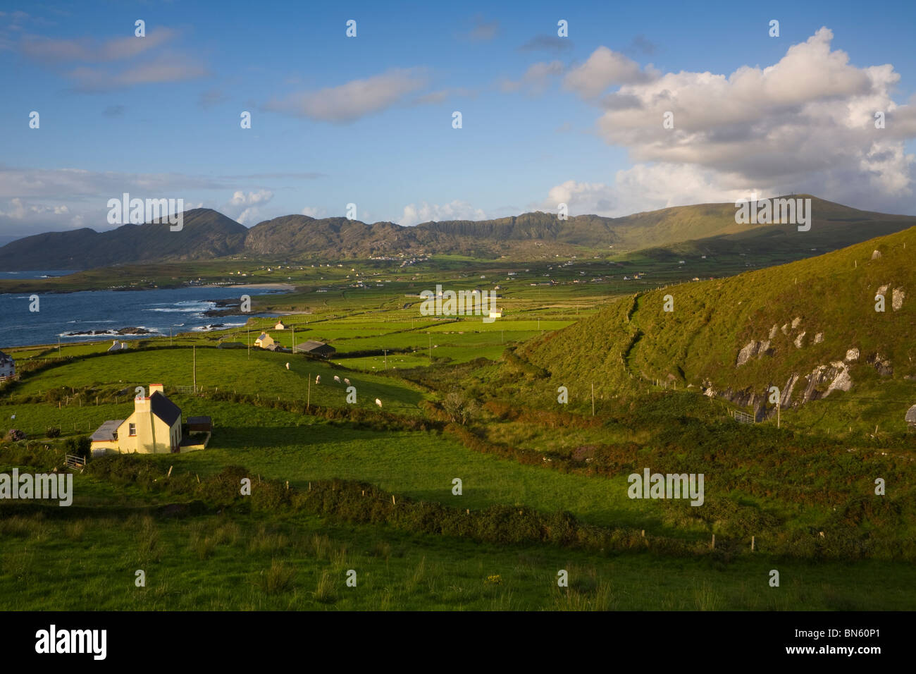 Dramatic coastal landscape illuminated at sunset, Beara Peninsula, Co