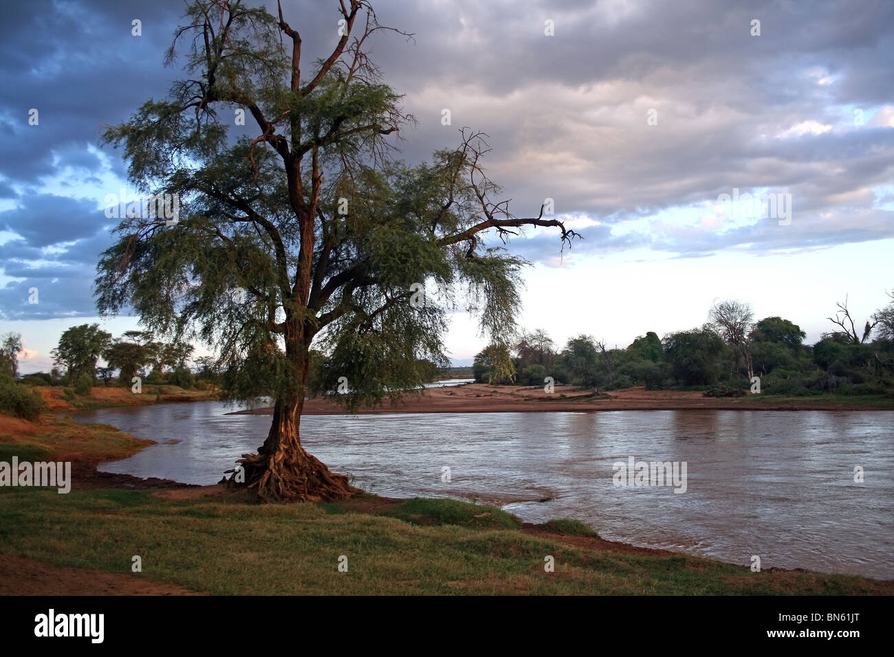 Uaso Nyiro River at sunset. Picture taken in Samburu National Reserve, Kenya, East Africa Stock Photo