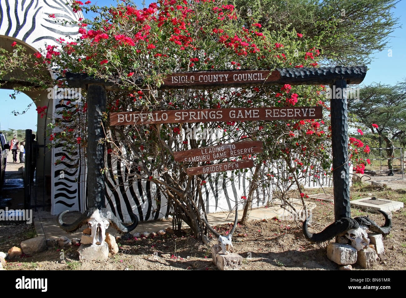 Buffalo springs hi-res stock photography and images - Alamy