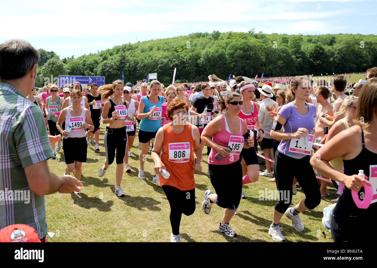 Thousands of women taking part in a Cancer Research Race for Life charity event at Stanmer Park Brighon UK Stock Photo