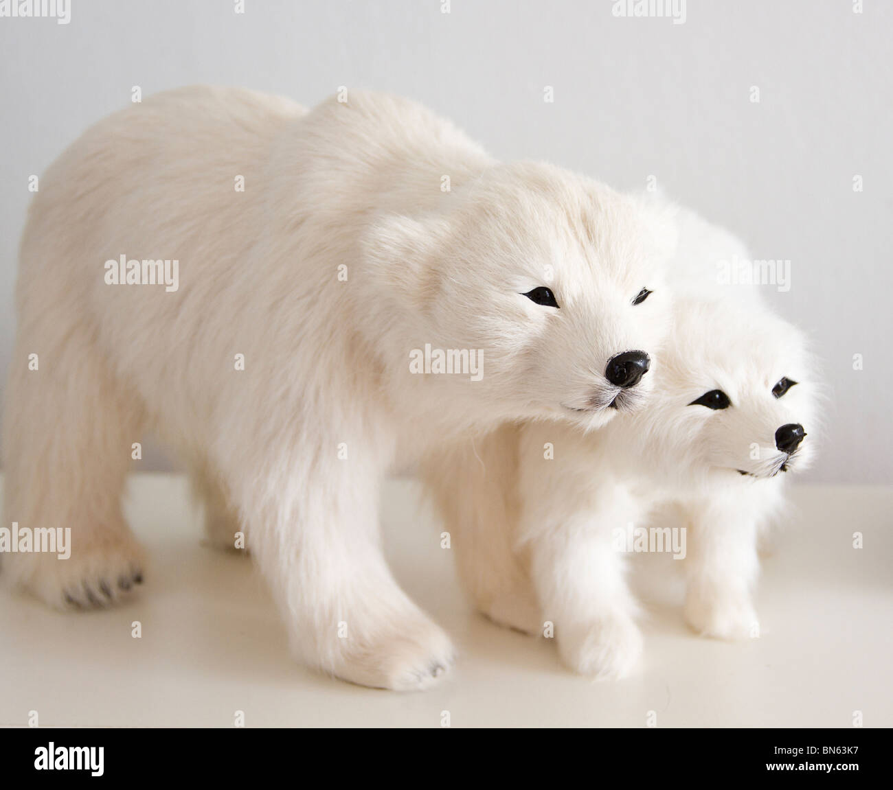 Cute polar bears hi-res stock photography and images - Alamy