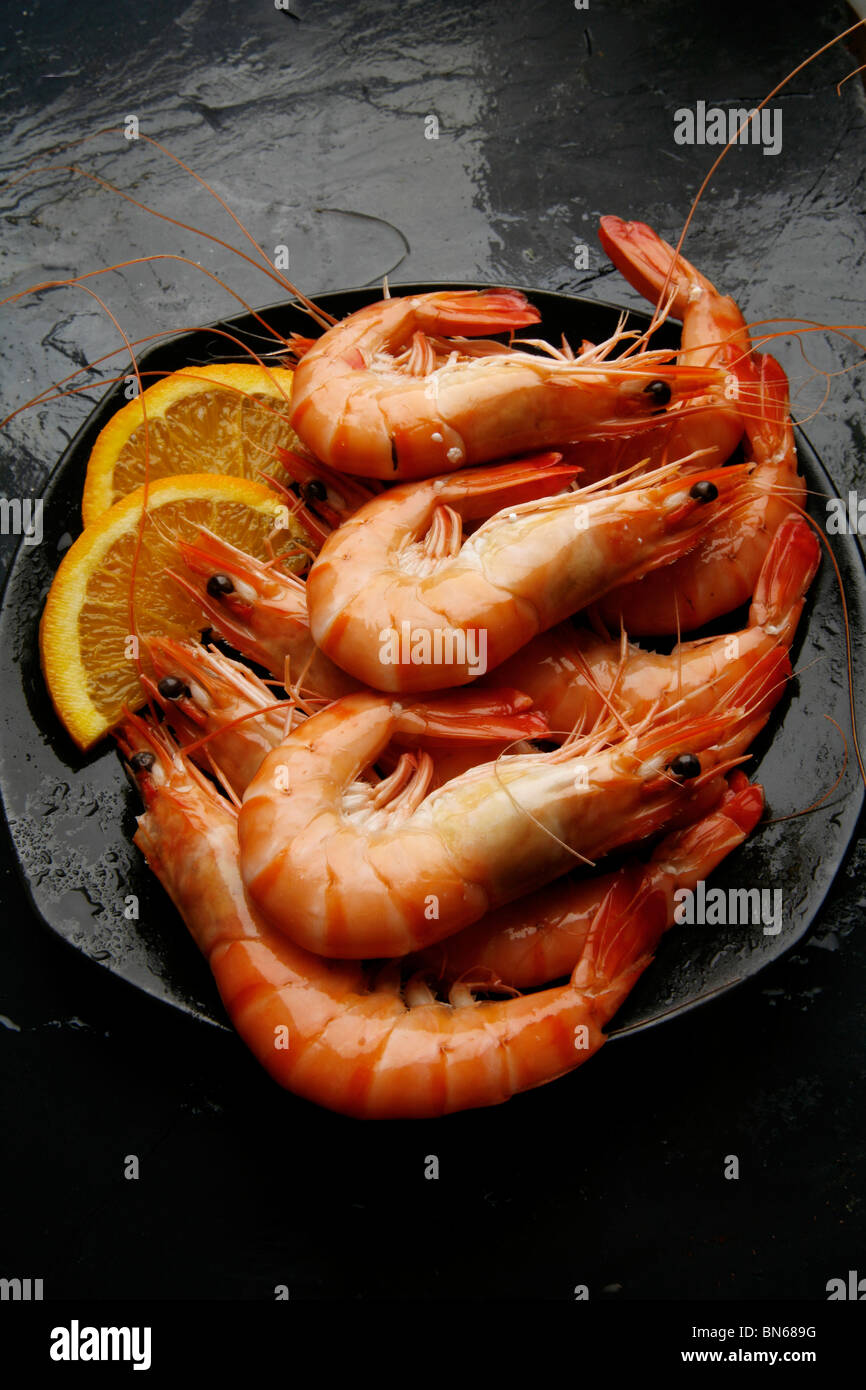 dish with boiled big prawns Stock Photo