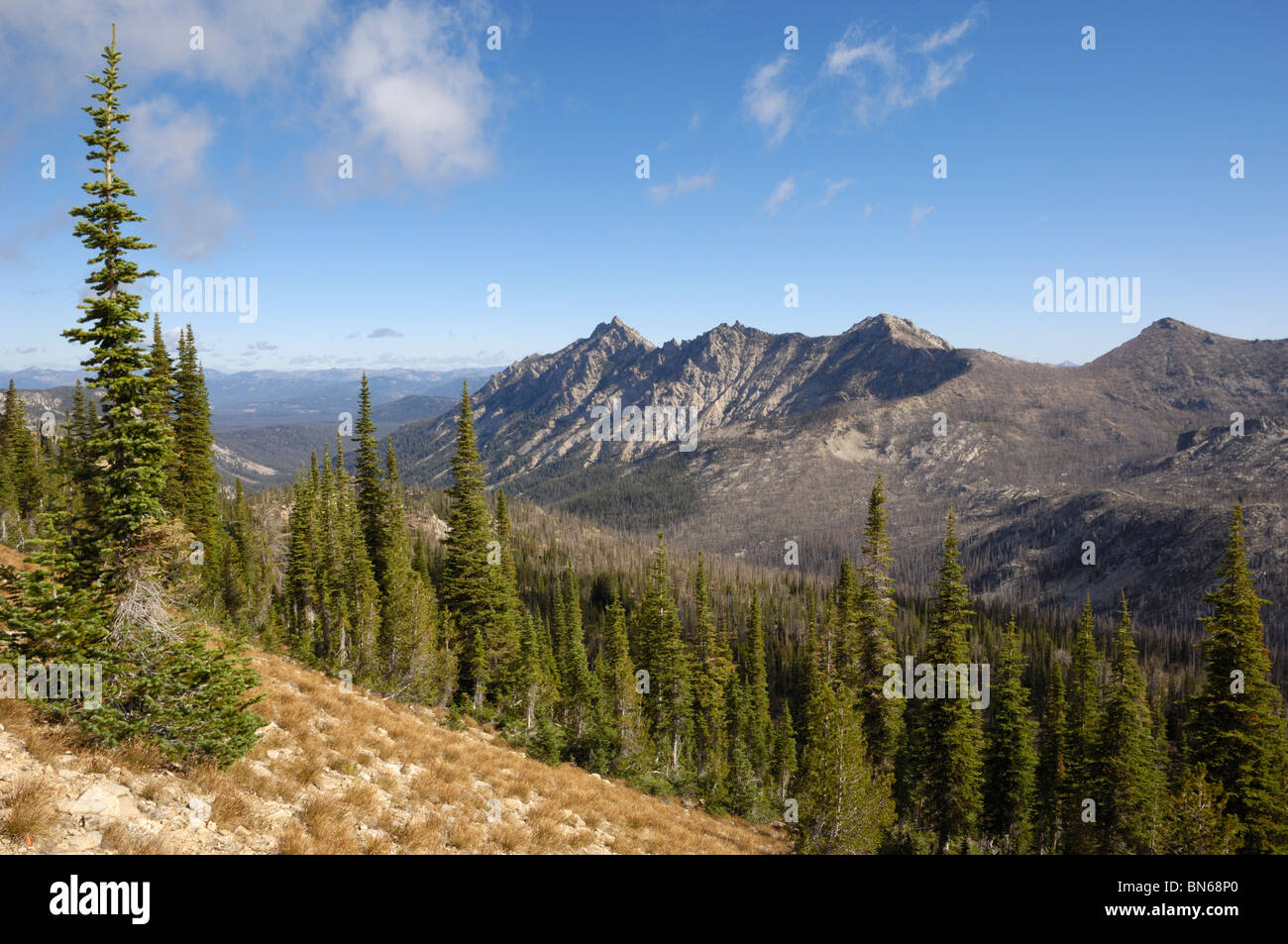 Observation peak hotsell trail yellowstone