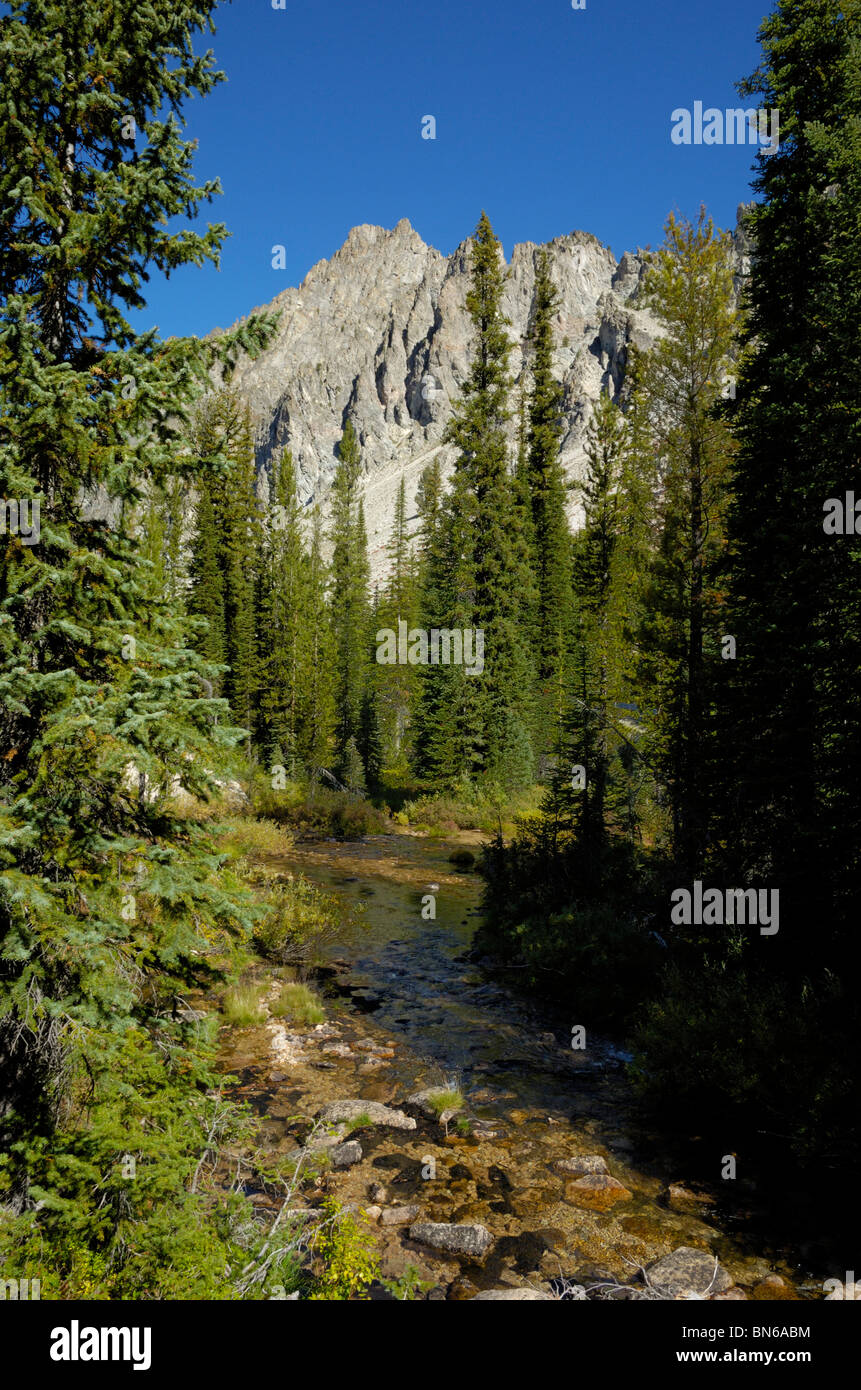 Baron Creek, Sawtooth Mountains, Sawtooth Wilderness / Sawtooth