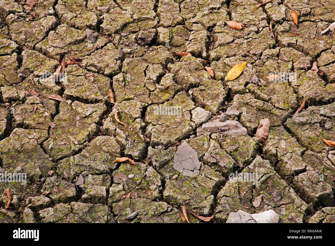Global warming concept of the cracked ground Stock Photo - Alamy