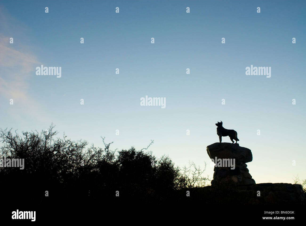 Bronze Dog Statue Lake Tekapo Canterbury New Zealand Stock Photo Alamy