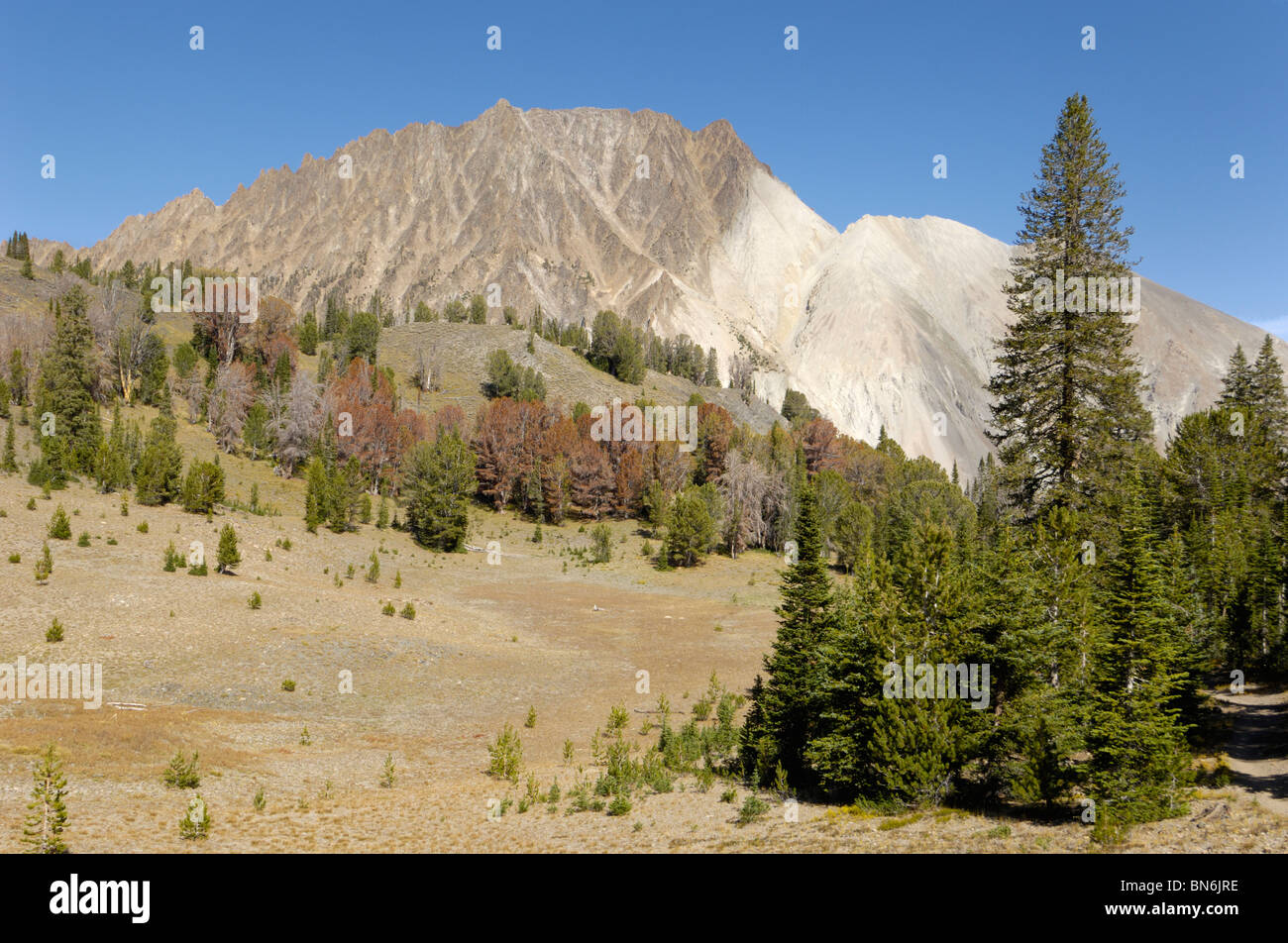 Castle Peak and Chamberlain Basin, White Cloud Mountains, Rocky