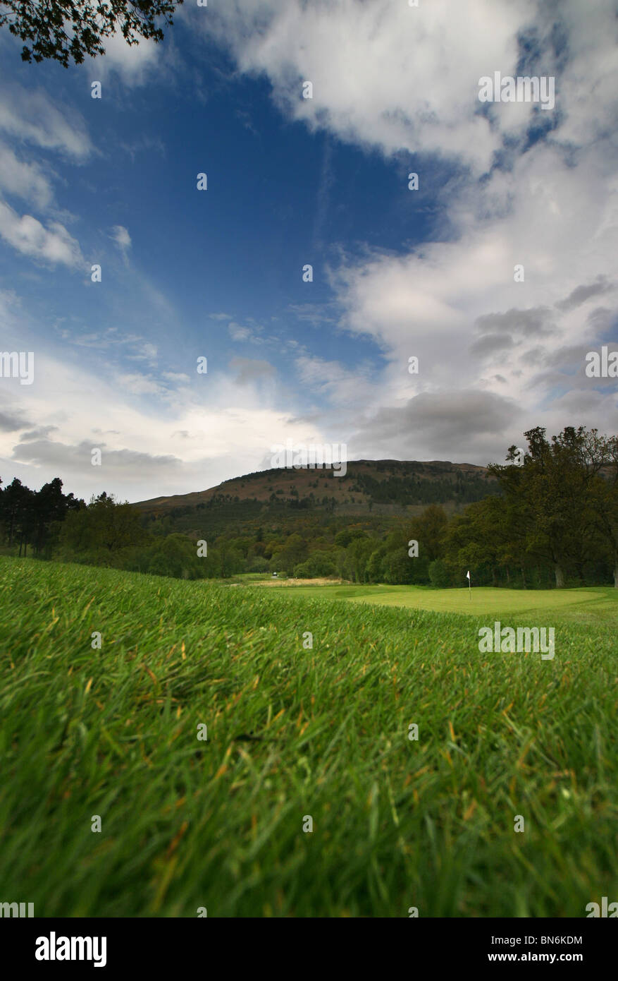Loch Lomond Golf Course, Glasgow, Scotland. Hole 11 Rough and green. Stock Photo