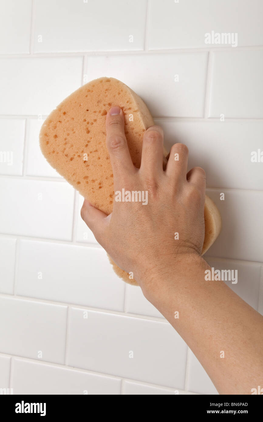Cleaning Bathroom Tile Wall close up Stock Photo Alamy