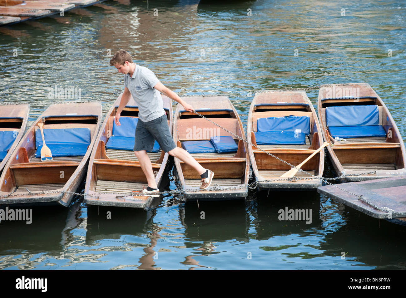 Young man pulling a punt by a chain, walking across bows of parked punts, on the river Cam at Cambridge. Stock Photo