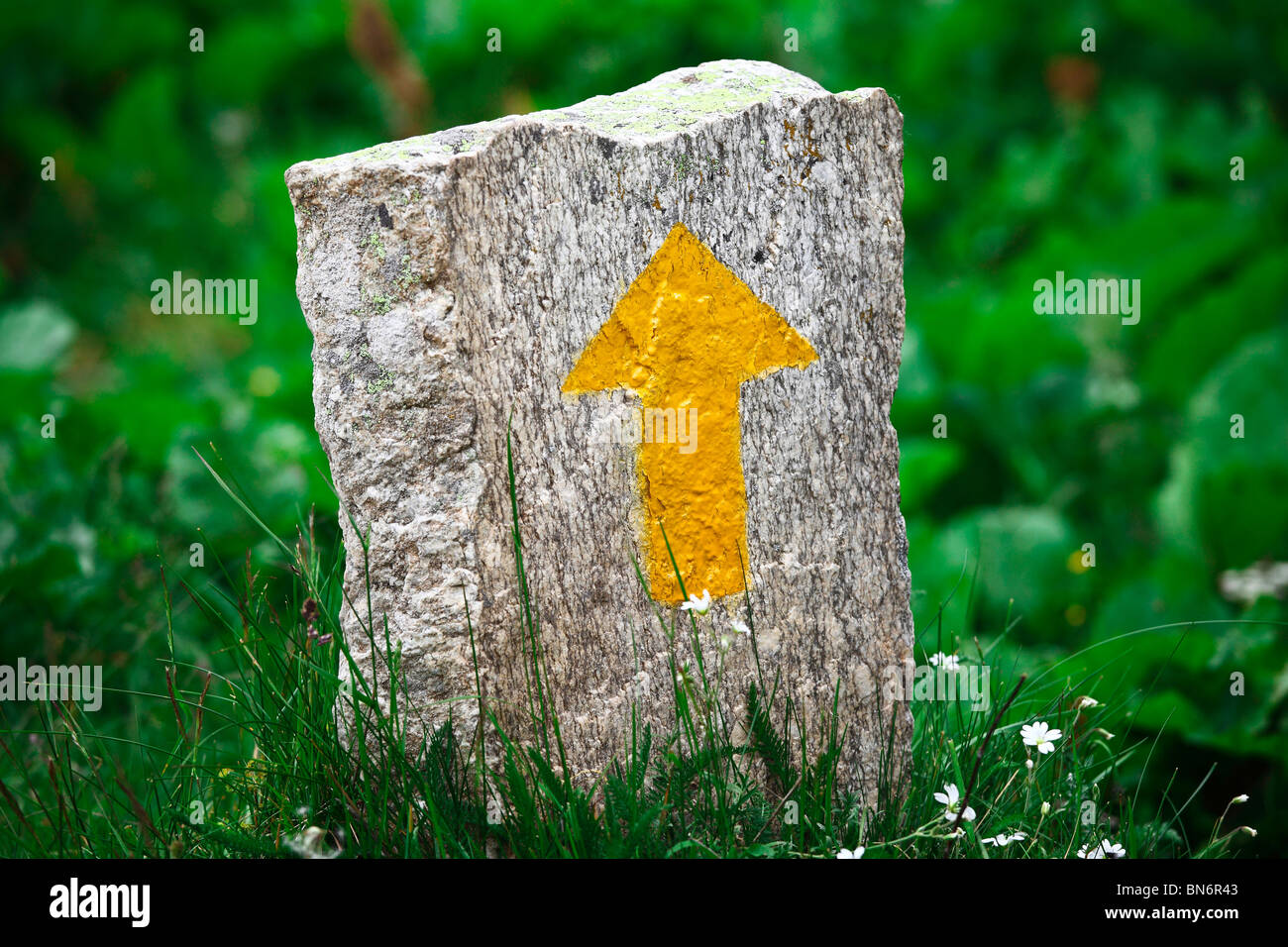 yellow stone arrow sign and green nature background Stock Photo