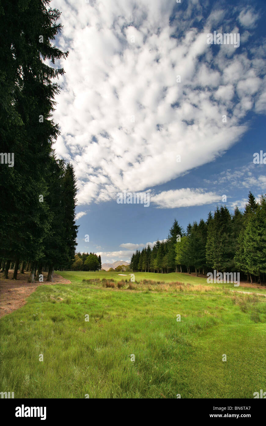 Loch Lomond Golf Course, Glasgow, Scotland. Hole 4 Long Grass with trees either side. Stock Photo
