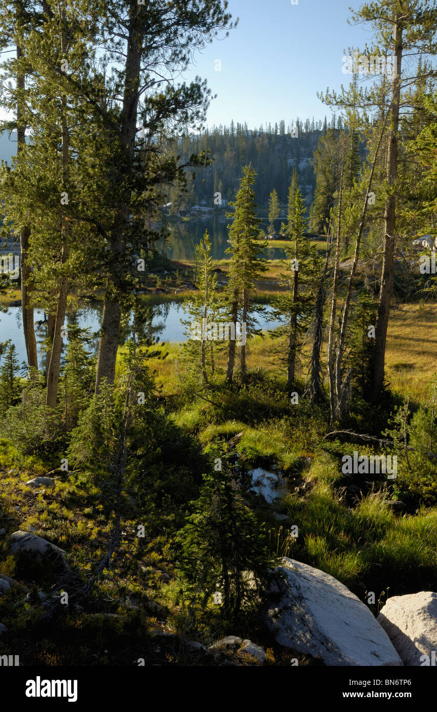Spangle Lake, Sawtooth Mountains, Sawtooth Wilderness / Sawtooth National Recreation Area, Rocky Mountains, Idaho, USA Stock Photo