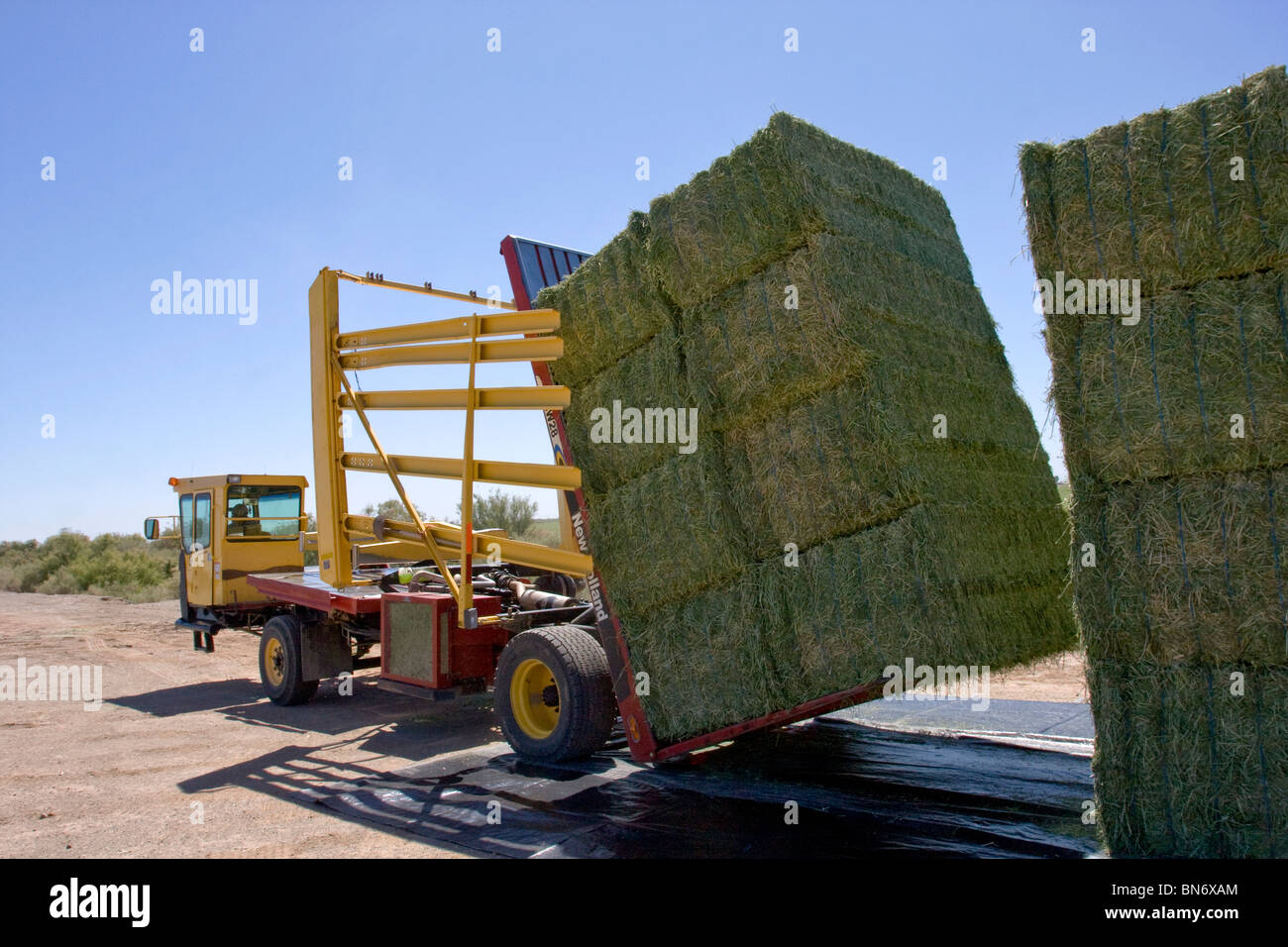 Super sized compressed alfalfa hay bales are stacked along the side of a harvested alfalfa near Holtville, California Stock Photo