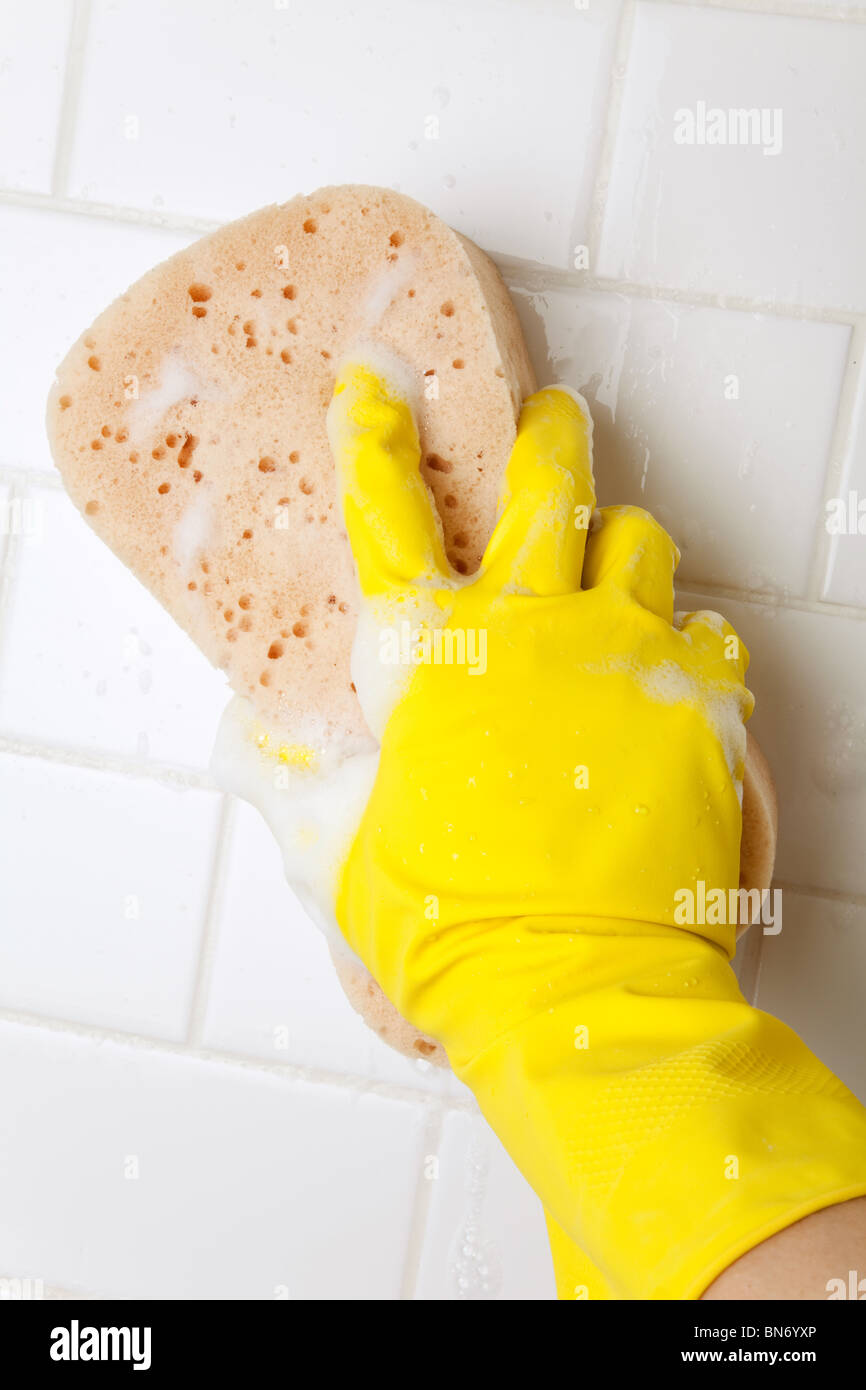 Cleaning Bathroom Tile Wall close up Stock Photo Alamy