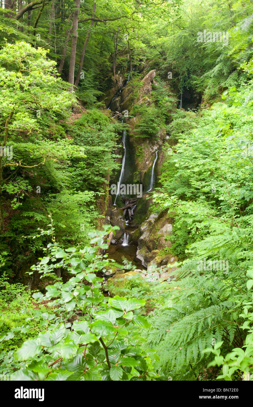 Stock Ghyll waterfall in Ambleside during the summer 2010 drought, coming only 7 months after the worst floods in Cumbria Stock Photo