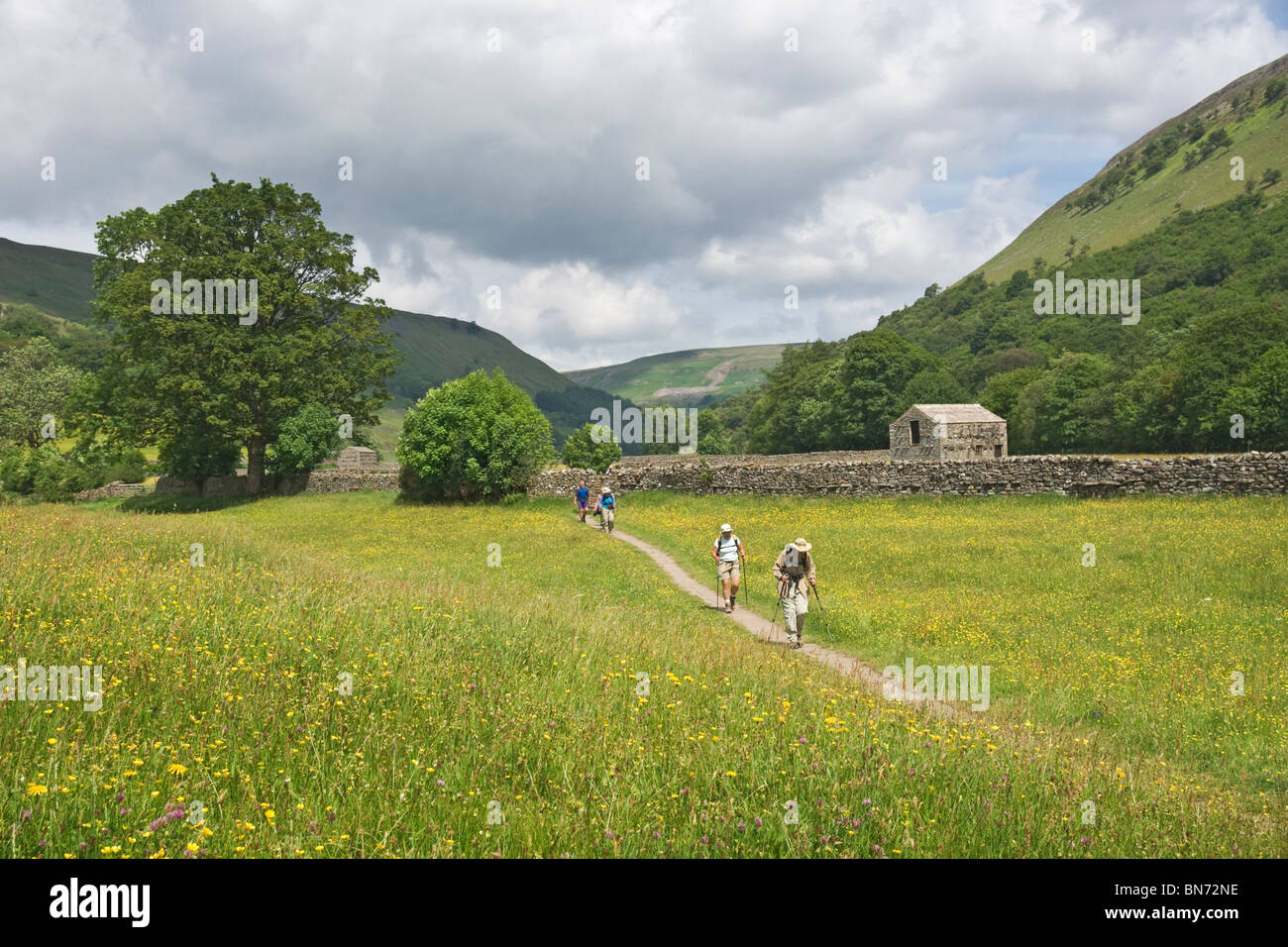 Walkers on a flagged footpath through the hay meadows at Muker, Swaledale. Yorkshire Dales National Park. Stock Photo